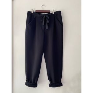 Aritzia Wilfred Allant pant.
